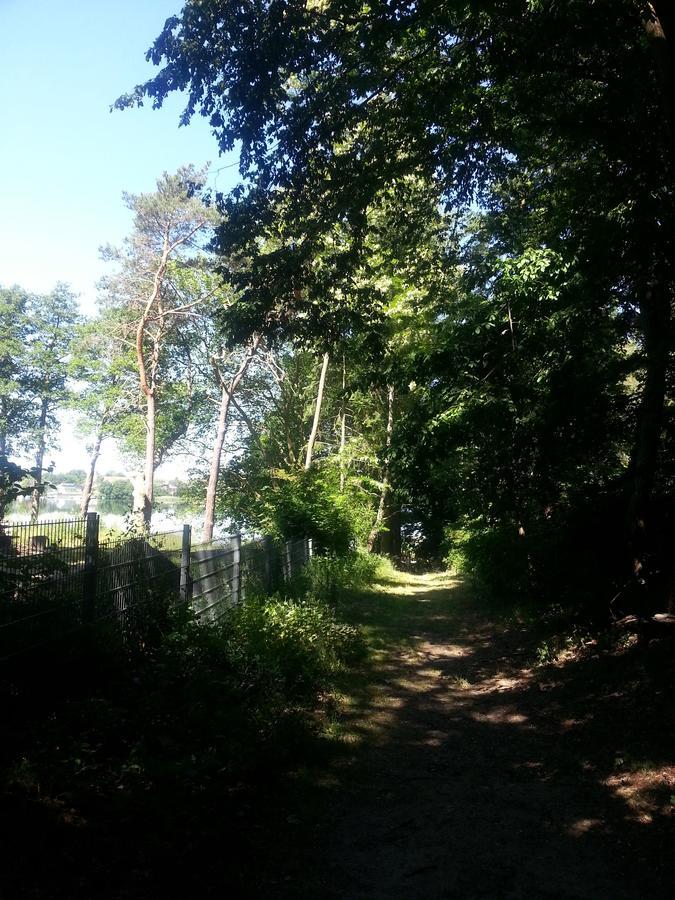 Holzhaus Waldwichtel am Wald und See Neuruppin Exterior foto